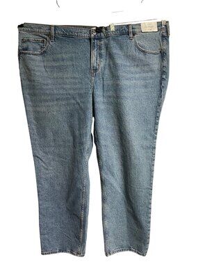 Abercrombie & Fitch Womens Mid Rise Straight Jeans Plus Size 24 Short